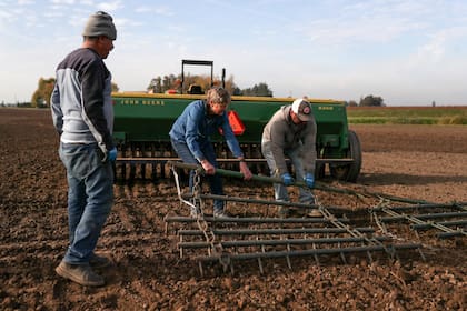 El trabajo agrícola es uno de los más solicitados por los migrantes