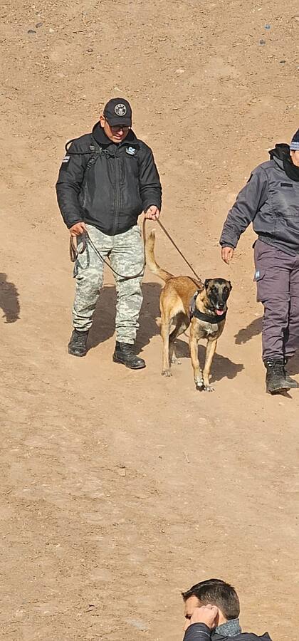 El trabajo de los perros puede ser clave por la dificultad del terreno donde se busca a la joven