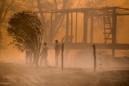Los incendios afectaron el Delta del Paraná durante los últimos meses