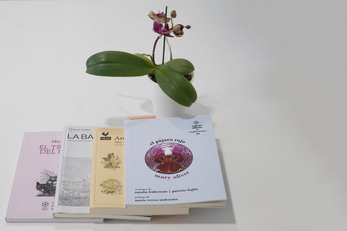 "El trabajo del sueño" y "El pájaro rojo", de Mary Oliver; "La bahía", de Cynan Jones; y "Anhelo de raíces" de May Sarton