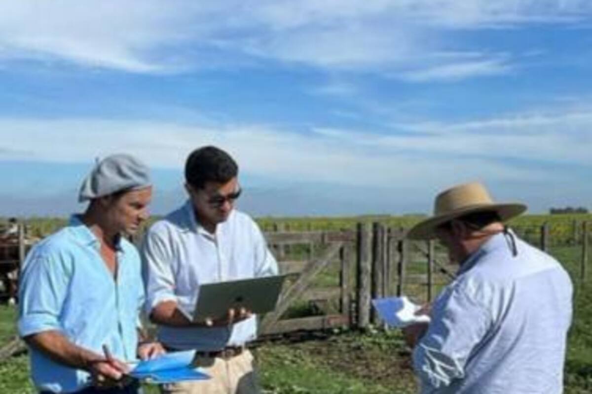 El trabajo en equipo, clave