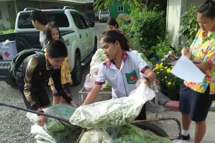 El trabajo en equipo es un valor que la escuela busca enseñar a sus alumnos