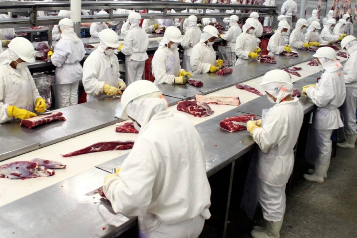 El trabajo en los frigoríficos, afectado por el cepo