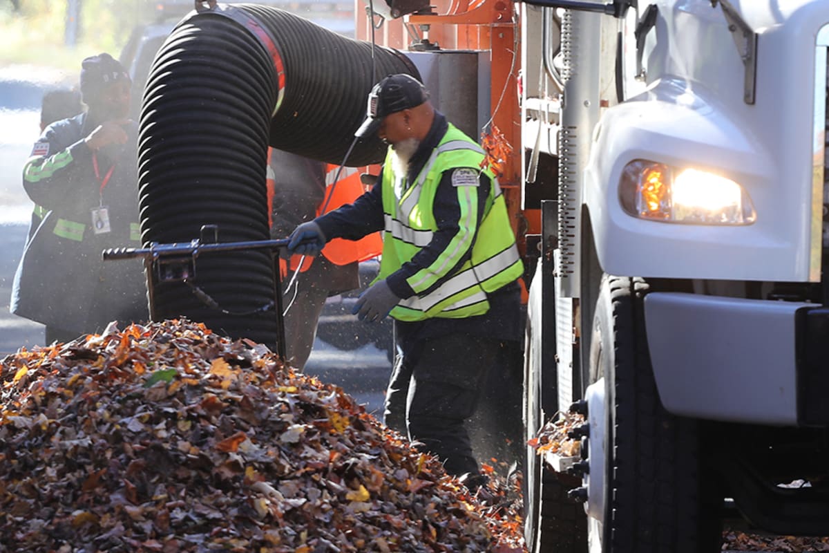 El trabajo es llevado a cabo por el Departamento de Obras Públicas de Washington D.C.