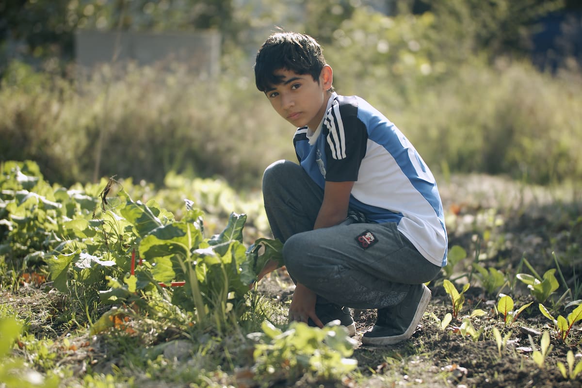 El trabajo infantil está muy naturalizado, mucho más aún en las zonas rurales, según advierten varios especialistas. Crédito: Gentileza OIT