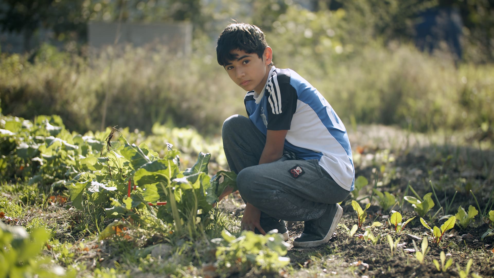 El trabajo infantil está muy naturalizado, mucho más aún en las zonas rurales, según advierten varios especialistas. Crédito: Gentileza OIT