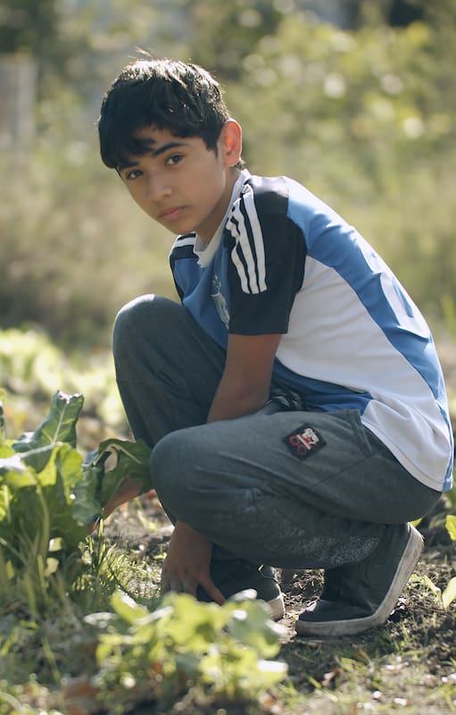 El trabajo infantil está muy naturalizado, mucho más aún en las zonas rurales, según advierten varios especialistas. Crédito: Gentileza OIT