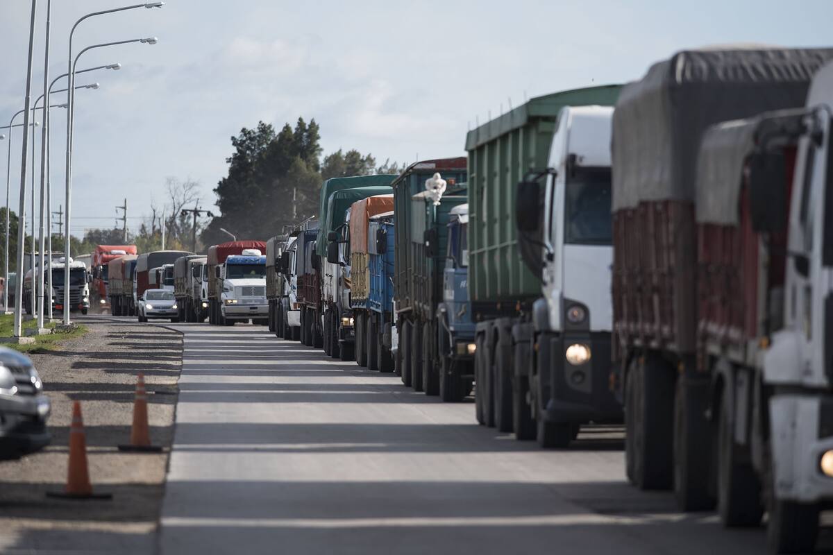El transporte de cargas puede funcionar con biodiésel ciento por ciento puro