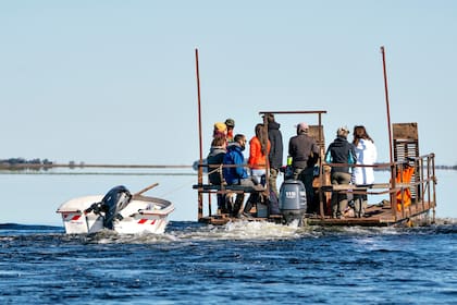 La reintroducción de Alondra se hizo en conjunto por The Conservation Land Trust (CLT), el gobierno de Corrientes y Parques Nacionales