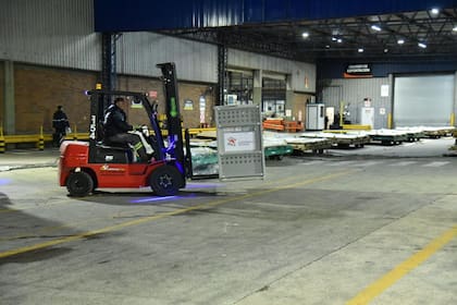 El traslado de las jaulas de los felinos en Ezeiza, previo a los traslados a los santuarios