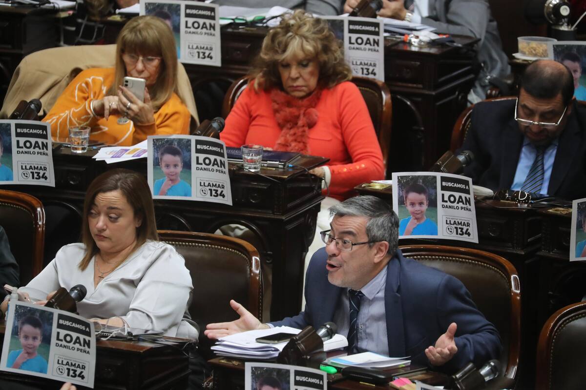 El tratamiento de la Ley Bases en la cámara de Diputados de la Nación