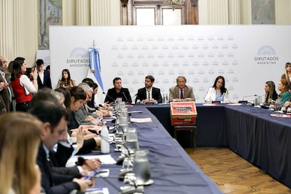 El tratamiento de la ley de Ficha Limpia en la Cámara de Diputados, que ya tiene dictamen de comisión