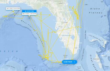 El trayecto de Keji, el otro tiburón blanco localizado cerca de Florida