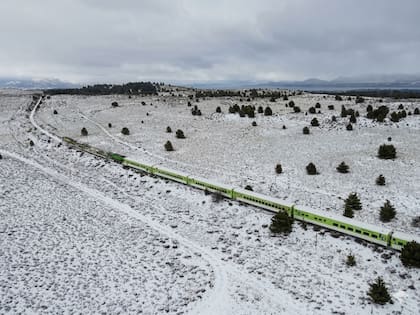 El tren atraviesa la estepa rionegrina, desde Viedma hasta Bariloche
