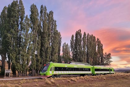 El Tren Patagónico atraviesa la estepa rionegrina en un recorrido nocturno que combina paisajes, gastronomía y música