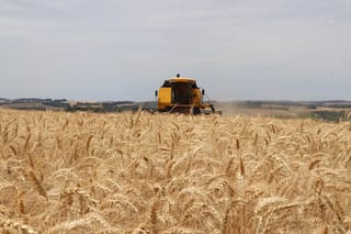 Apuntes sobre la desesperación del Gobierno para que “el campo liquide”