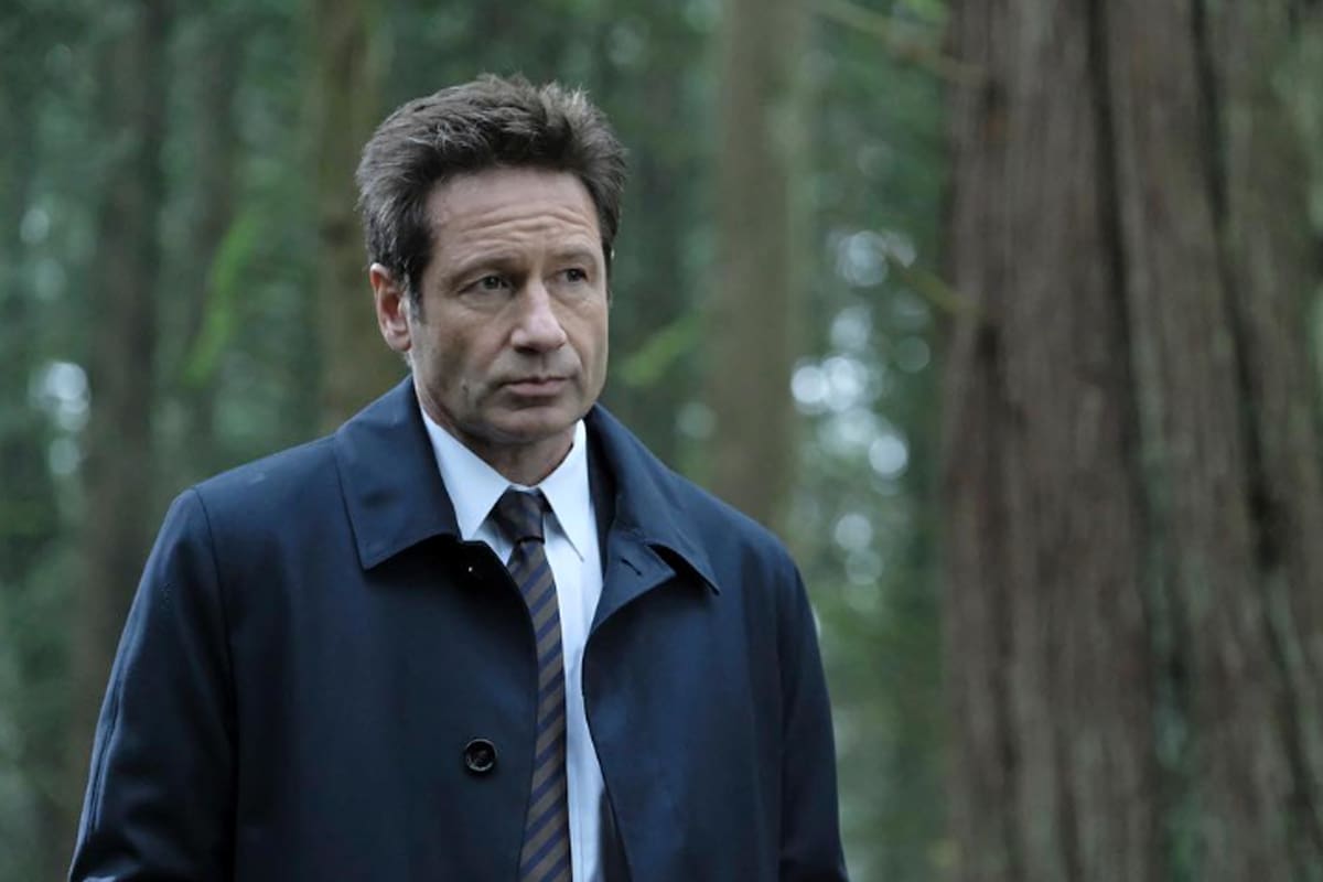 El triste momento de David Duchovny: “Lloré un poco lamentando la pérdida de su silenciosa y expresiva alma”