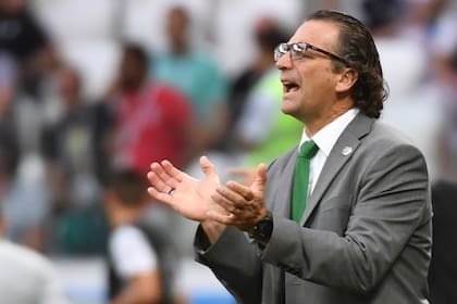 El triunfo de Arabia Saudita sobre Egipto colaboró para la extensión del contrato de Pizzi