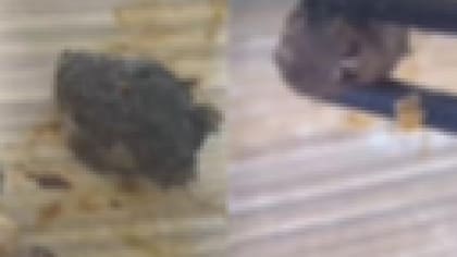 El trozo de carne estaba mezclado con el resto de la comida. El joven lo grabó y tomo algunas fotos
Foto: Captura de pantalla 墙内笔记