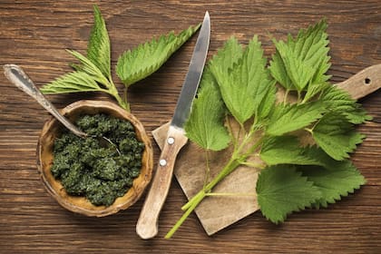 El truco casero para ahuyentar plagas y cuidar las plantas del jardín