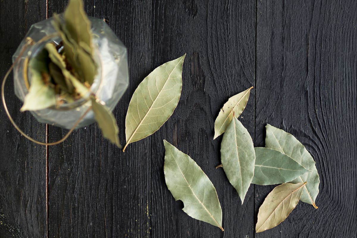 El truco del Feng Shui con hojas de laurel para mejorar la calidad del sueño