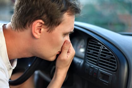 El truco desconocido para eliminar los males olores del auto que requiere de un elemento que todos tienen en sus casas