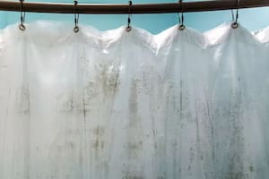 El truco ideal para remover los hongos presentes en la cortina del baño (y no es lavandina)