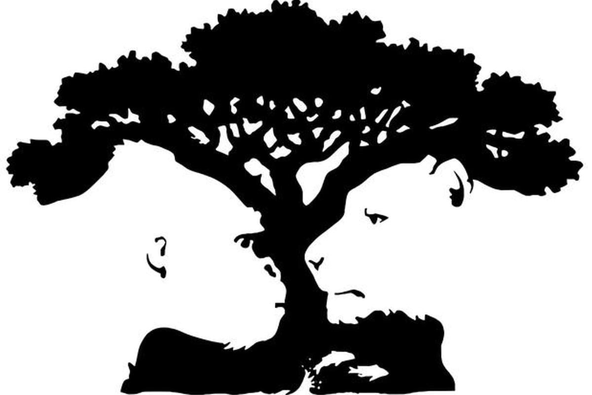 El truco visual que promete revelar aspectos de tu personalidad.