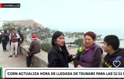 El tsunami despertó las alarmas en varios países a nivel mundial