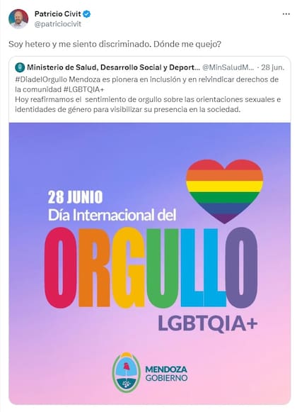El tuit de Patricio Civit