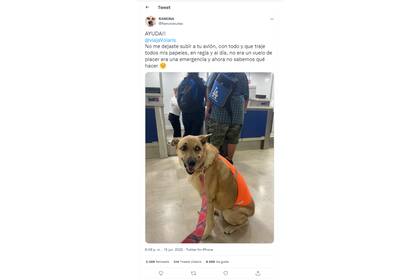 El tuit viral de la perrita Ramona