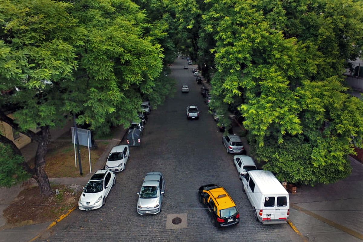 El túnel de árboles en la avenida Melián, en Belgrano