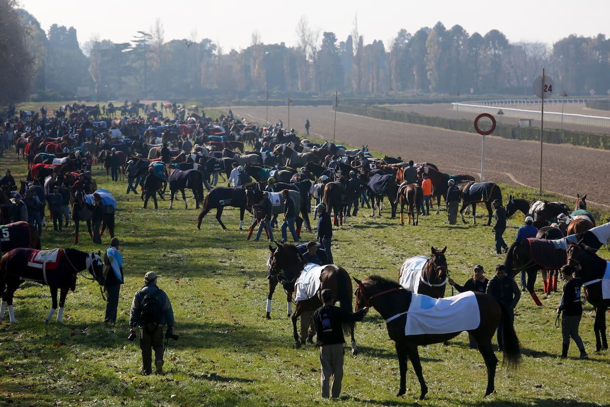 El turf vuelve a manifestarse contra la derogación de la ley bonaerense