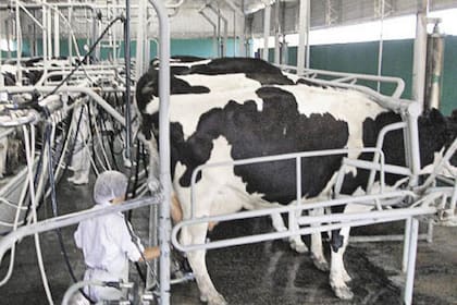 El último año cerraron 462 tambos