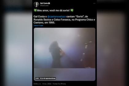 El último posteo de Gal Costa, horas antes de su muerte (Foto: Twitter @GalCosta)