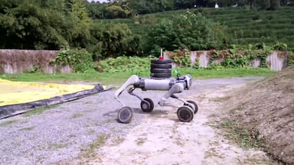 El Unitree B2-W es un robot cuadrúpedo todoterreno capaz de llevar hasta una persona