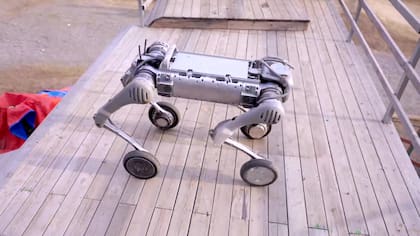El Unitree B2-W es un robot cuadrúpedo todoterreno capaz de llevar hasta una persona
