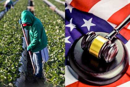 El Uscis prevé pausar los permisos de trabajo para los solicitantes de asilo por un período prolongado de “muchos años"