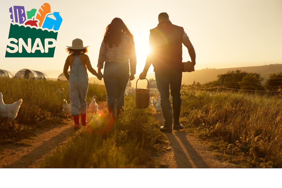 El USDA dio a conocer las fechas clave para el depósito de los cupones de alimentos en el estado de Florida (X/@USDA)