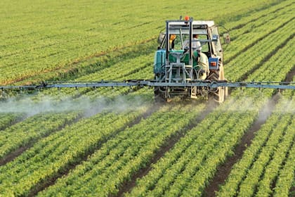 El uso de fitosanitarios en mayor en la Argentina que en Europa