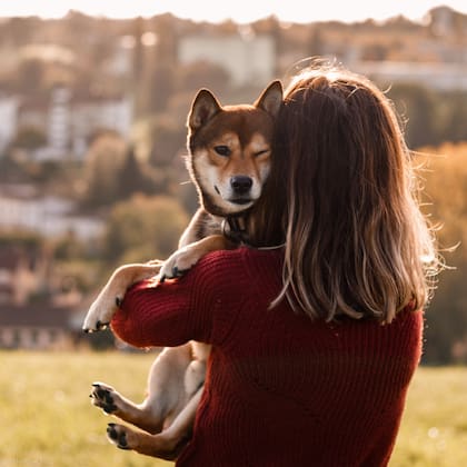 El uso de juguetes interactivos también ayuda a que ejerciten la mente e interactuar de manera positiva con tu can