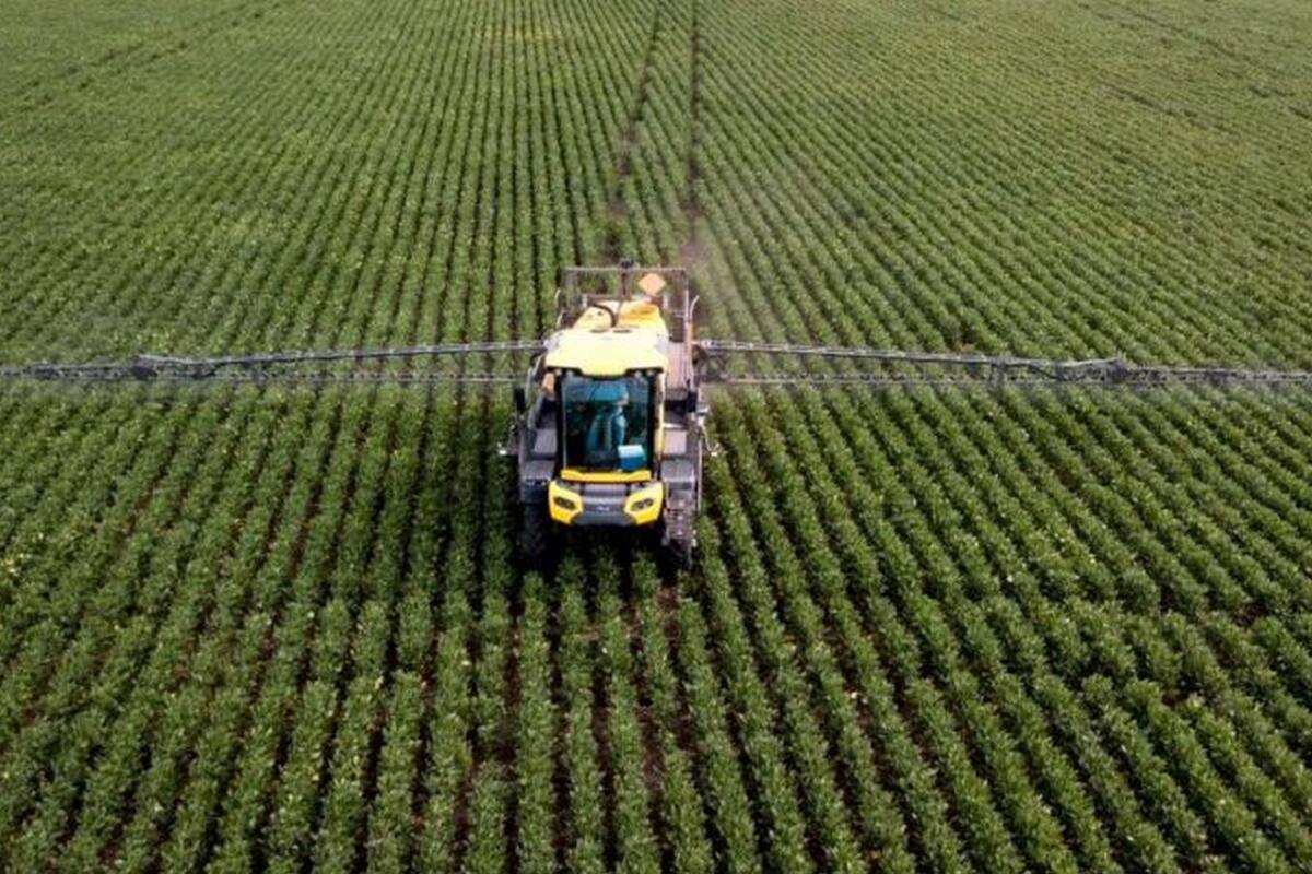 El uso de pesticidas se volvió la práctica predominante desde el siglo XX