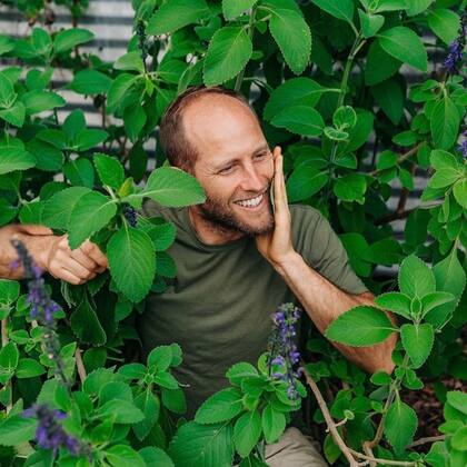 El uso del Plectranthus barbatus, más conocido como boldo, puede ser una opción sostenible al papel higiénico. Foto: @robjgreenfield