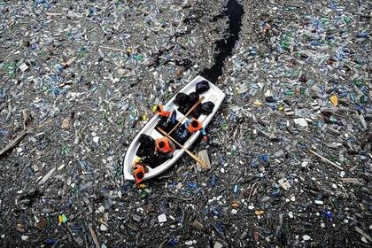 El uso desmedido del plástico impactó de forma directa en la vida marítima, como ocurre con la enorme isla de la basura ubicada en el Pacífico Norte