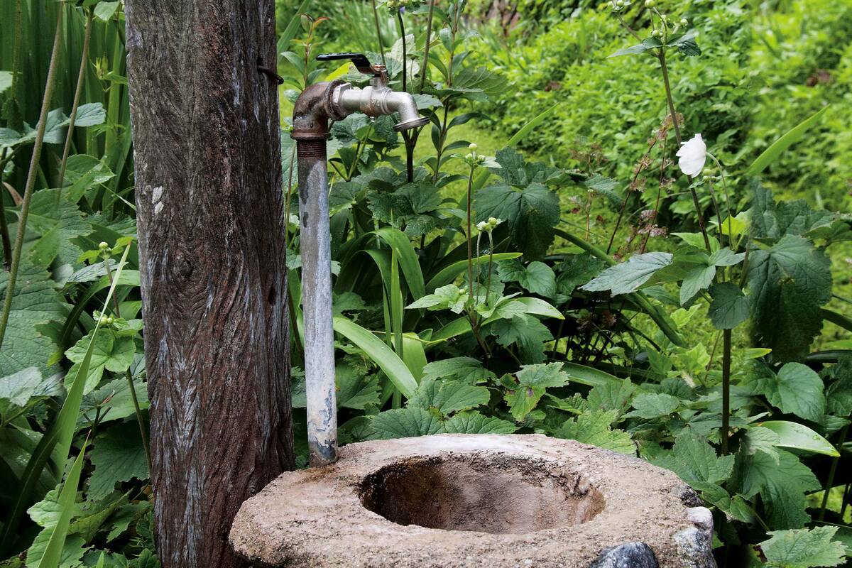 El uso eficiente del agua y el reciclado de plástico son dos formas de cuidar el planeta. Aquí soluciones muy sencillas que mejoran la vida de todos.