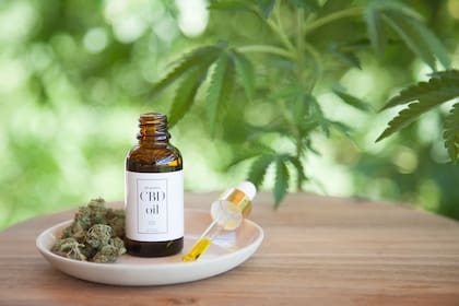 El uso frecuente de cannabis plantea interrogantes sobre sus efectos a largo plazo en la salud física y mental