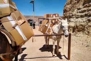 El pueblo del Gran Cañón donde el correo llega en mula