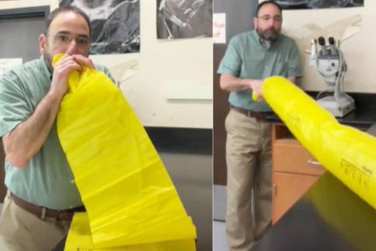 El usuario de TikTok Wolf Science explicó el principio de Bernoulli y se viralizó