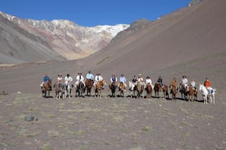 En Mendoza, ya es furor el interés en una propuesta turística