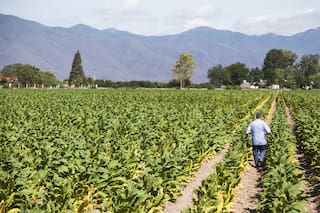 Curiosidades sobre la vida rural en un antiguo periódico